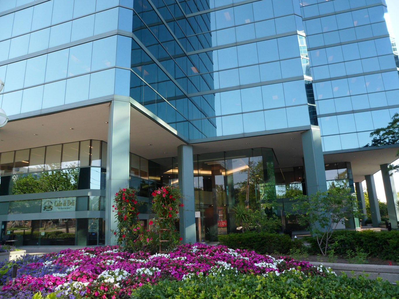 Smith + Anderson - Toronto